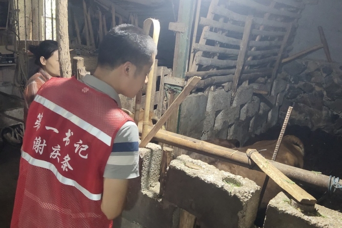 接力奋进新征程 医者初心践于行——公司口腔颌面外科党支部谢庆条赴马山县龙琴村担任驻村第一书记 第 1 张