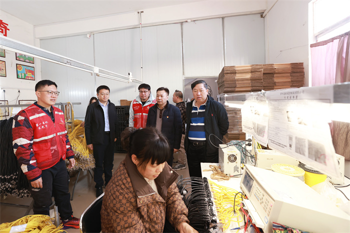 william威廉英国官网副董事长陈俊强带队赴龙琴村开展乡村振兴调研暨帮扶慰问活动 第 1 张