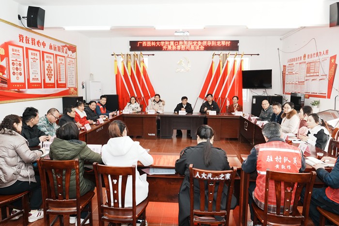 公司党委书记韦锦斌带队赴马山县里当瑶族乡龙琴村开展新春慰问走访活动 第 2 张