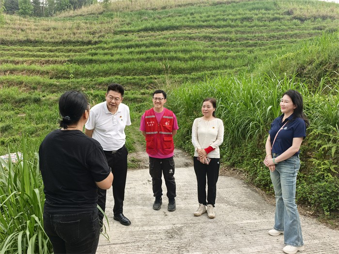 william威廉英国官网党委常委、副董事长唐卫中带队赴龙琴村开展乡村振兴调研暨帮扶慰问活动 第 3 张